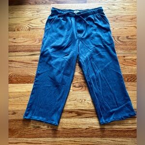 L.L. Bean - Men’s Cozy Lounge Pants - Blue - Medium - Short